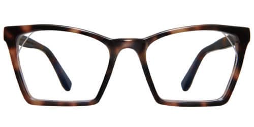 Tortoise shell coloured Zeus+Dione frame.